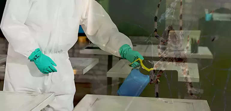 Why Buyers Still Want Homes With Pest Infestations in Atlanta, GA?