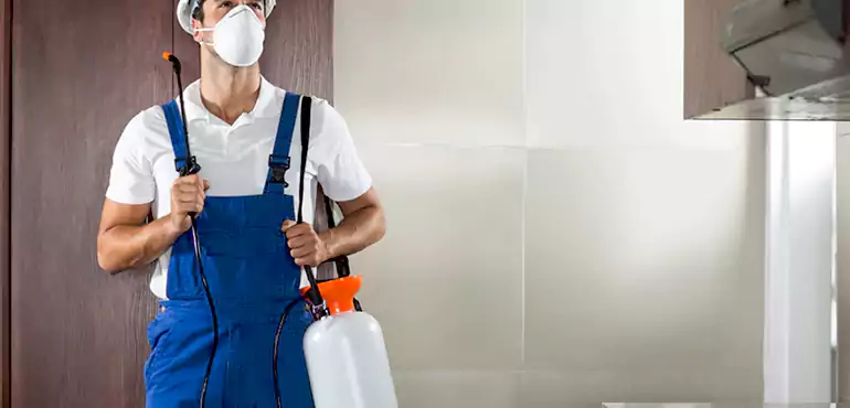 Why Atlanta Homeowners Choose Us When Pests Make Selling Difficult
